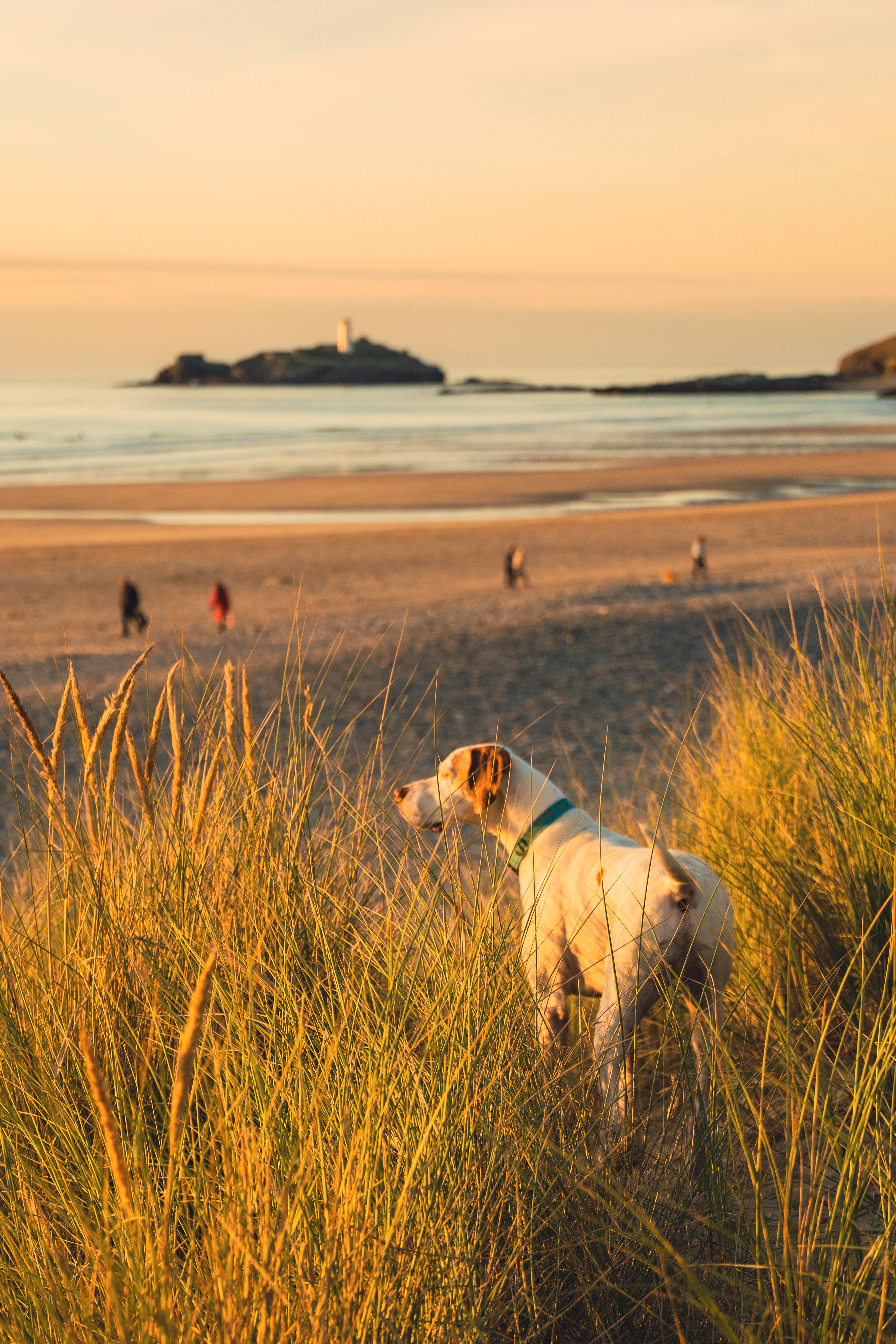 Cornish holiday cottage